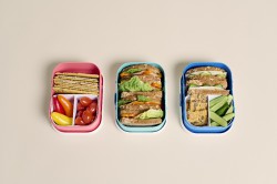 Lunchbox Mepal Campus Fairy Garden