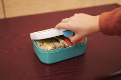 Lunchbox Mepal Campus Forest Friends