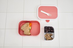 Lunchbox Mepal Campus Food Fest