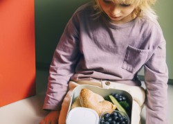 Lunchbox Mepal Campus Bento Large Dino