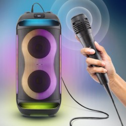 Głośnik Power Audio GoGEN BPS 696