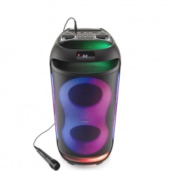 Głośnik Power Audio GoGEN BPS 696