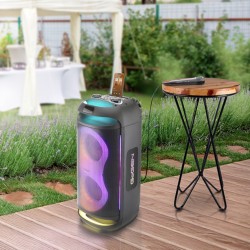 Głośnik Power Audio GoGEN BPS 696