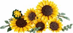 Lego Botanicals Bukiet Słoneczników 11502