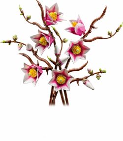 Lego Botanicals Gałązki Magnolii 11510