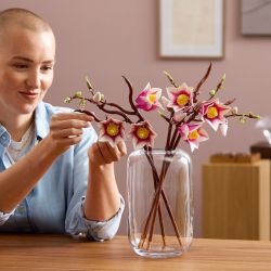 Lego Botanicals Gałązki Magnolii 11510
