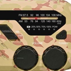 Radio Alarmowe Z Latarką Blaupunkt ER-10DC Beżowe Maskowanie