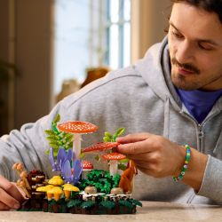 LEGO Botanicals 11505 Grzyby Leśne