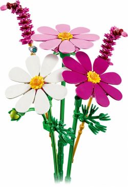 LEGO Botanicals 11514 Kosmosy