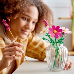 LEGO Botanicals 11514 Kosmosy