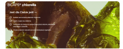 Formeds Bicaps Chlorella 5903148622071