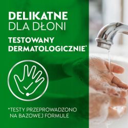 Mydło Do Rąk W Płynie Dettol Aloes I Bambus Pompka 250 ml