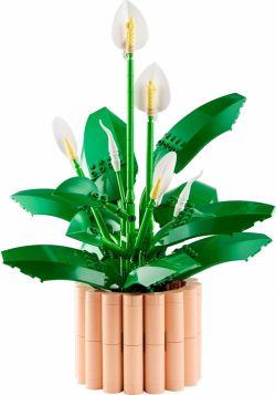 LEGO Botanicals 11504 Skrzydłokwiat