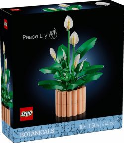 LEGO Botanicals 11504 Skrzydłokwiat