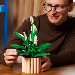 LEGO Botanicals 11504 Skrzydłokwiat