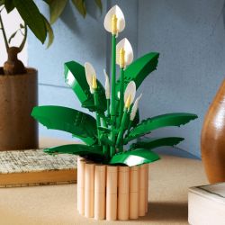 LEGO Botanicals 11504 Skrzydłokwiat