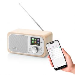 Radio Internetowe GoGEN IR 237 BTDAB (DAB+, FM, BT, USB)