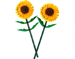 LEGO Botanicals 40524 Słoneczniki