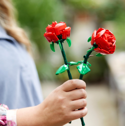 LEGO Botanicals 40460 Róże