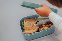 Lunch Box Mepal Campus Paw Patrol Dino 107440065420