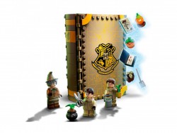 LEGO Harry Potter Chwile z Hogwartu: Zajęcia z zielarstwa 76384