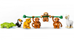 LEGO Duplo Dzikie zwierzęta Ameryki Południowej 10973