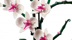 LEGO Icons Orchidea 10311