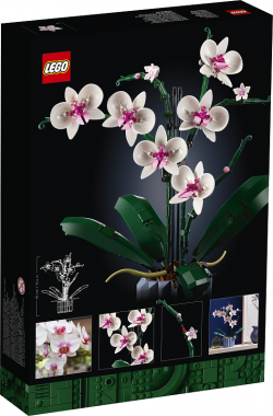 LEGO Icons Orchidea 10311