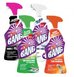 Cillit Bang Spray 750 ml Odtłuszczanie bez szorowania x1, Zero kamienia x1, Czystość i higiena x1, Koniec z pleśnią x1