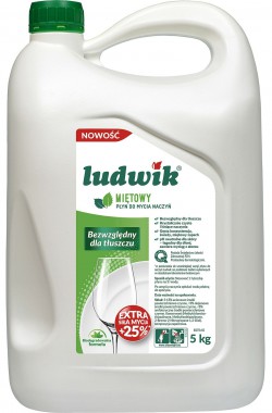 Ludwik płyn do mycia naczyń 5kg Mięta