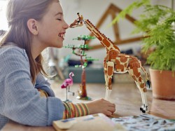 Lego Creator Dzikie zwierzęta z safari 31150