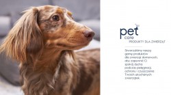 Dew Pet Care Środek do pielęgnacji ran dla zwierząt 250 ml